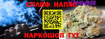 гидра Славянск-на-Кубани