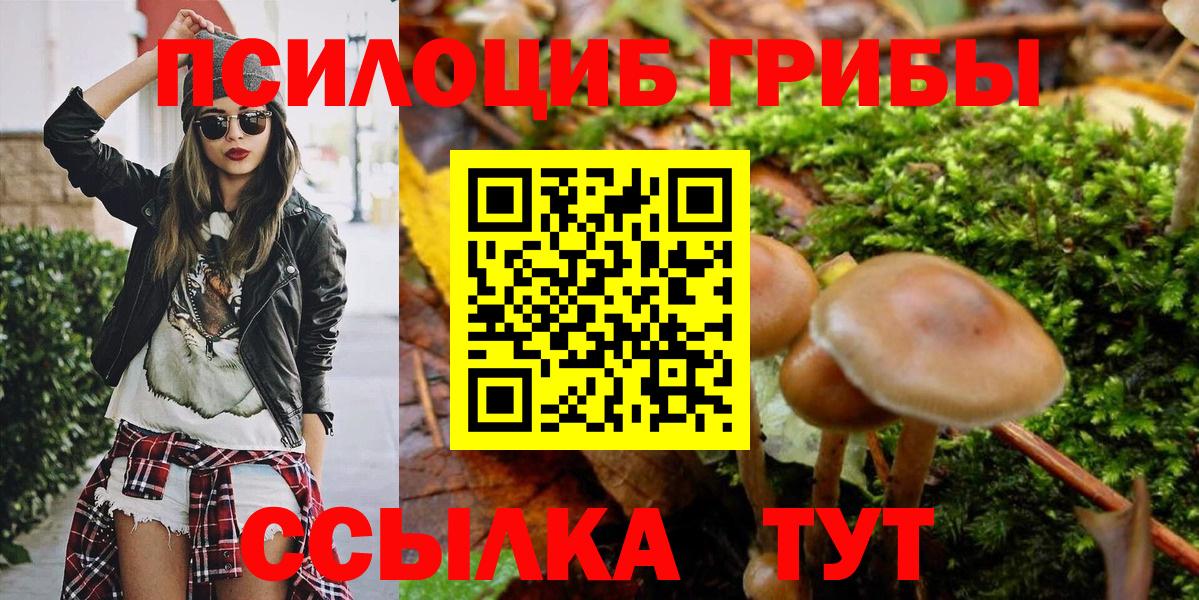 Галлюциногенные грибы Cubensis Дагестанские Огни