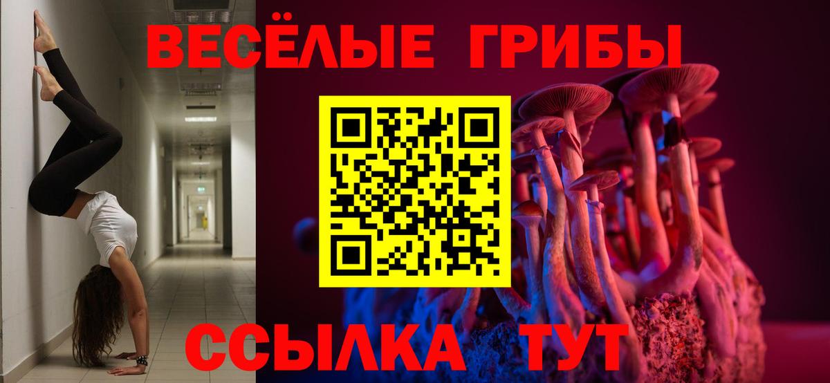 наркота  Галлюциногенные грибы прущие грибы  Дагестанские Огни  Вход с VPN  Псилоцибиновые грибы мицелий 