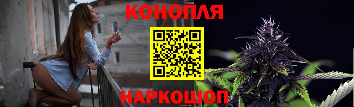 Каннабис сатива Дагестанские Огни